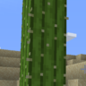 Funtnagebator_30